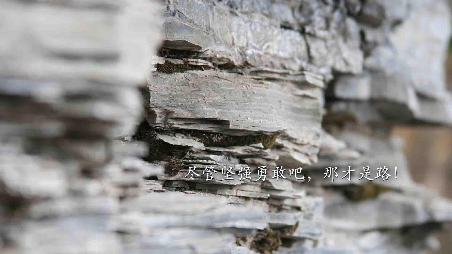 2026世界杯E组生死局，智利风暴横扫中亚狼，C罗绝境擎旗定乾坤